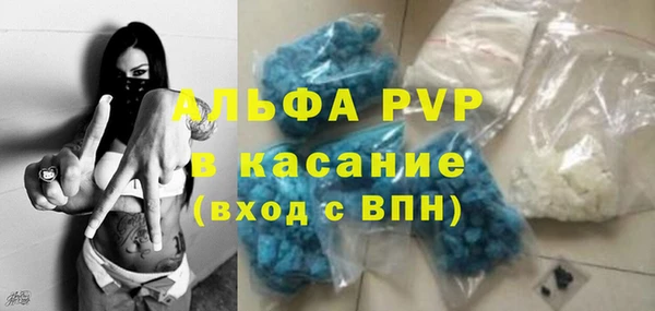 сатива Алексеевка