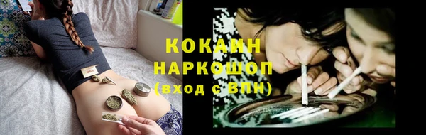 ГАЛЛЮЦИНОГЕННЫЕ ГРИБЫ Алексин