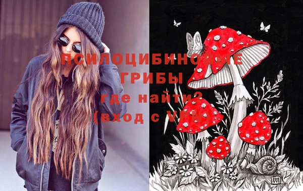 сатива Алексеевка