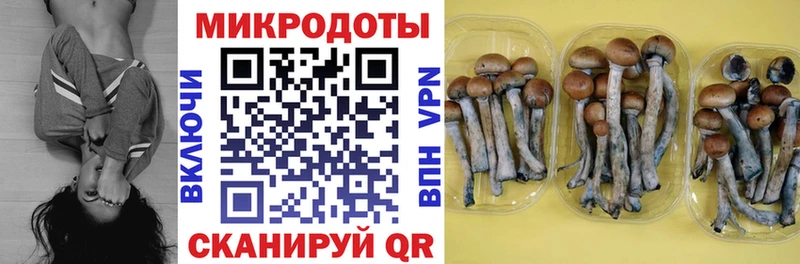 OMG ссылки  Обнинск  Галлюциногенные грибы Cubensis 