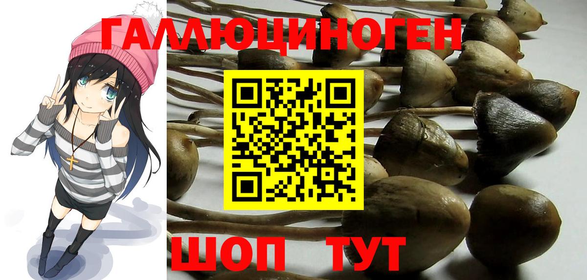 Псилоцибиновые грибы MAGIC MUSHROOMS  Вход с VPN  Обнинск 